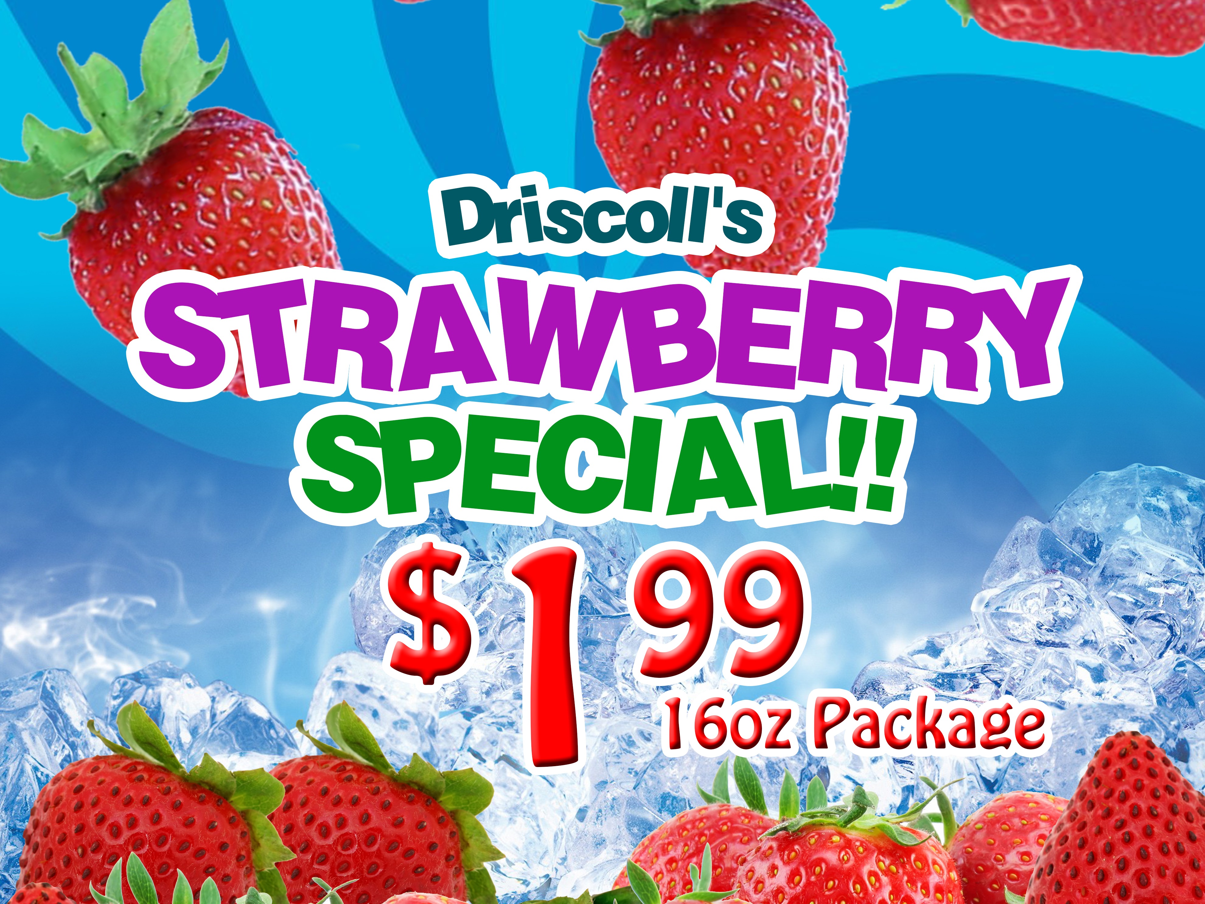 In-Studio Bahamas Portfolio