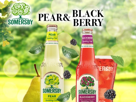 In-Studio Bahamas Portfolio