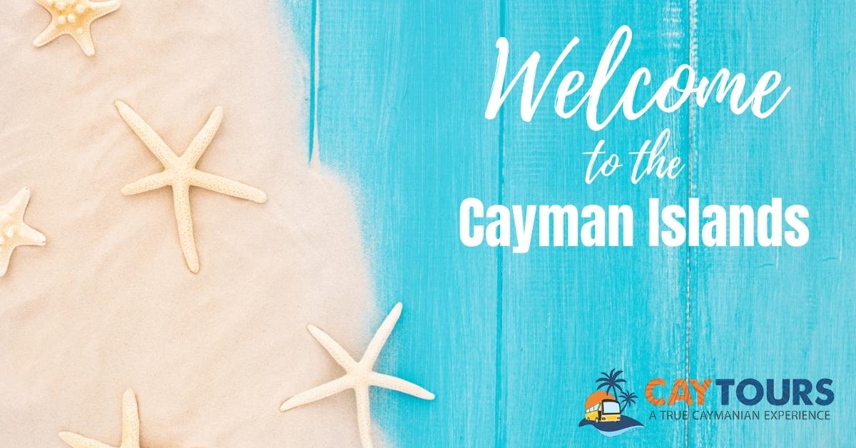 In-Studio Bahamas Portfolio